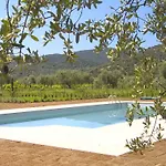 La Pulledraia Del Podere Montegrappa *