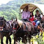 La Pulledraia Del Podere Montegrappa Farm stay *