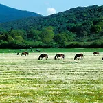 Farm stay La Pulledraia Del Podere Montegrappa
