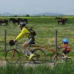 Farm stay La Pulledraia Del Podere Montegrappa