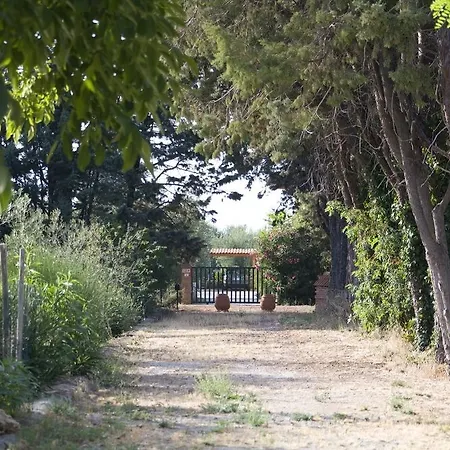 La Pulledraia Del Podere Montegrappa Lantgård
