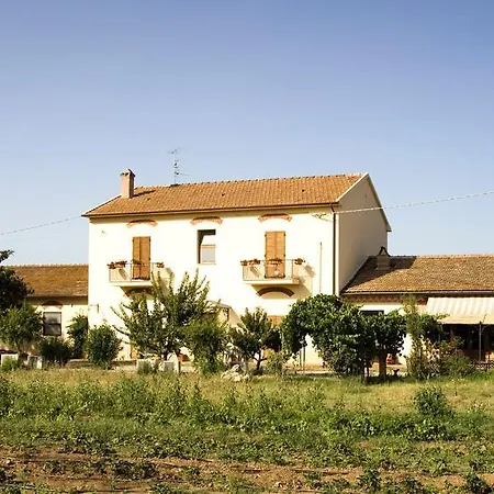 La Pulledraia Del Podere Montegrappa