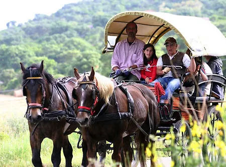 La Pulledraia Del Podere Montegrappa Feriegård *