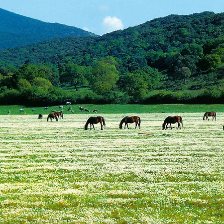 Farm stay La Pulledraia Del Podere Montegrappa