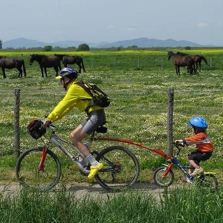 Farm stay La Pulledraia Del Podere Montegrappa