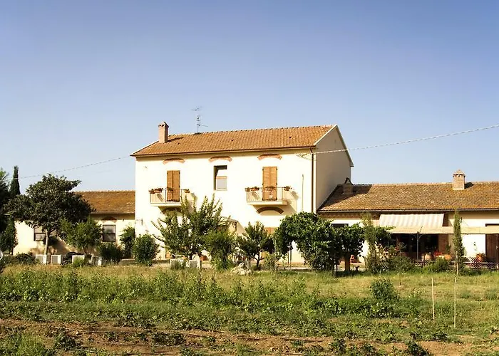 La Pulledraia Del Podere Montegrappa