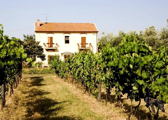 La Pulledraia Del Podere Montegrappa *