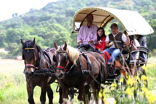 La Pulledraia Del Podere Montegrappa Κατάλυμα σε φάρμα *