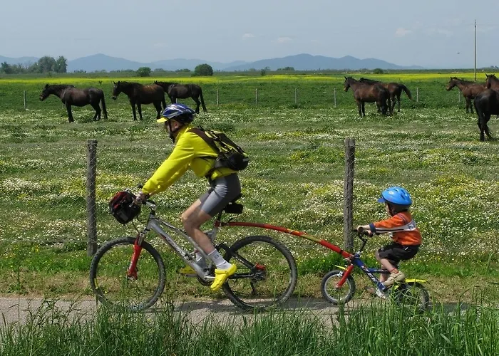 Κατάλυμα σε φάρμα La Pulledraia Del Podere Montegrappa
