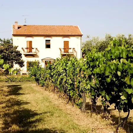 La Pulledraia Del Podere Montegrappa *