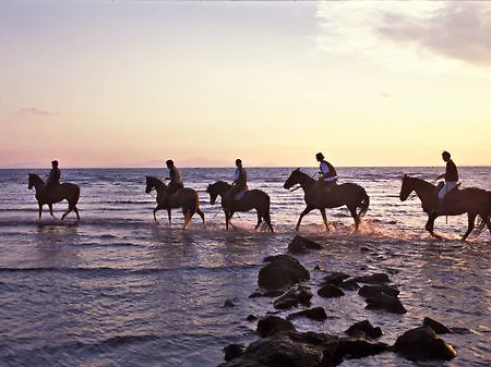 La Pulledraia Del Podere Montegrappa